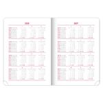 Denný diár 2026 A5 Ajax - zlatá