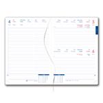 Diár DESIGN denný A5 2025 slovenský - Mandala farebný