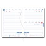 Diár MAGNETIC denný B6 2025 - ružová/zelená