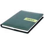 Diár RIGA týždenný A5 2027 český - zelená