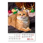 Nástenný kalendár 2022 - Kočičky/Mačičky