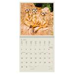 Nástenný kalendár 2023 - Animal Friends