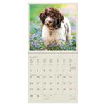 Nástenný kalendár 2023 - Dogs