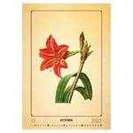 Nástenný kalendár 2023 - Herbarium