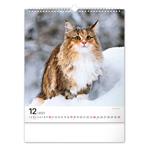 Nástenný kalendár 2023 Mačky