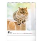 Nástenný kalendár 2023 Mačky