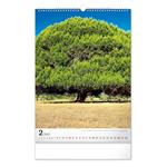 Nástenný kalendár 2023 Stromy