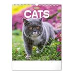 Nástenný kalendár 2024 Mačky