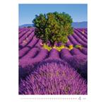Nástěnný kalendář 2024 - Provence