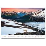 Nástenný kalendár 2025 - National Parks