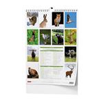 Nástenný kalendár 2025 Poľovnícky kalendár