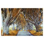 Nástenný kalendár 2026 - Aleje