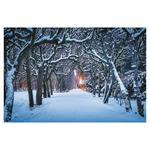 Nástenný kalendár 2026 - Aleje