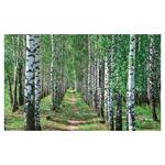 Nástenný kalendár 2026 - Aleje