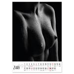 Nástenný kalendár 2026 český Sensual