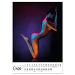 Nástenný kalendár 2026 český Sensual