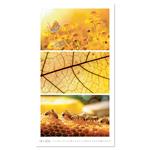 Nástenný kalendár 2026 - Colours