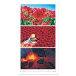 Nástenný kalendár 2026 - Colours