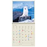 Nástenný kalendár 2026 - Dogs