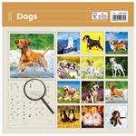 Nástenný kalendár 2026 - Dogs