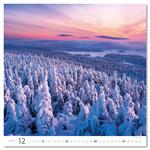 Nástenný kalendár 2026 - Forest/Wald/Les