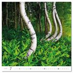 Nástenný kalendár 2026 - Forest/Wald/Les