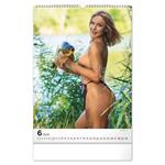 Nástenný kalendár 2026 Girls and Carps