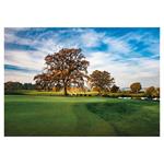 Nástenný kalendár 2026 Golf