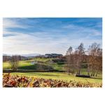 Nástenný kalendár 2026 Golf