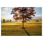 Nástenný kalendár 2026 Golf