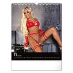 Nástenný kalendár 2026 Hot Girls