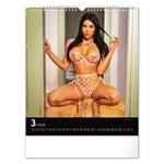 Nástenný kalendár 2026 Hot Girls