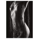 Nástenný kalendár 2026 Imagine