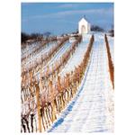 Nástenný kalendár 2026 Kravata - Česká republika