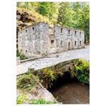 Nástenný kalendár 2026 Kravata - Česká republika