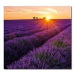 Nástenný kalendár 2026 Kravata - Provence