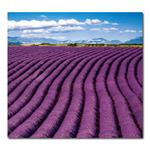 Nástenný kalendár 2026 Kravata - Provence