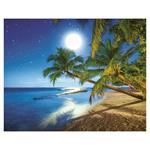 Nástenný kalendár 2026 - Lunárny