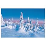 Nástenný kalendár 2026 - Nature