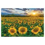 Nástenný kalendár 2026 - Nature