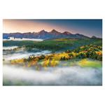 Nástenný kalendár 2026 - Nature