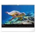 Nástenný kalendár 2026 Podmorský svet