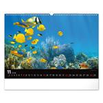 Nástenný kalendár 2026 Podmorský svet