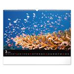 Nástenný kalendár 2026 Podmorský svet