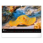 Nástenný kalendár 2026 Podmorský svet