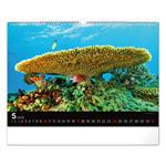 Nástenný kalendár 2026 Podmorský svet