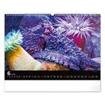 Nástenný kalendár 2026 Podmorský svet