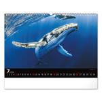 Nástenný kalendár 2026 Podmorský svet