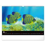 Nástenný kalendár 2026 Podmorský svet