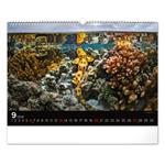 Nástenný kalendár 2026 Podmorský svet